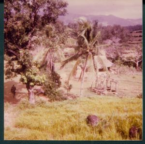 On patrol Vietnam countryside