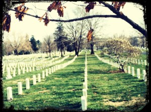Arlington Cemetery 1984
